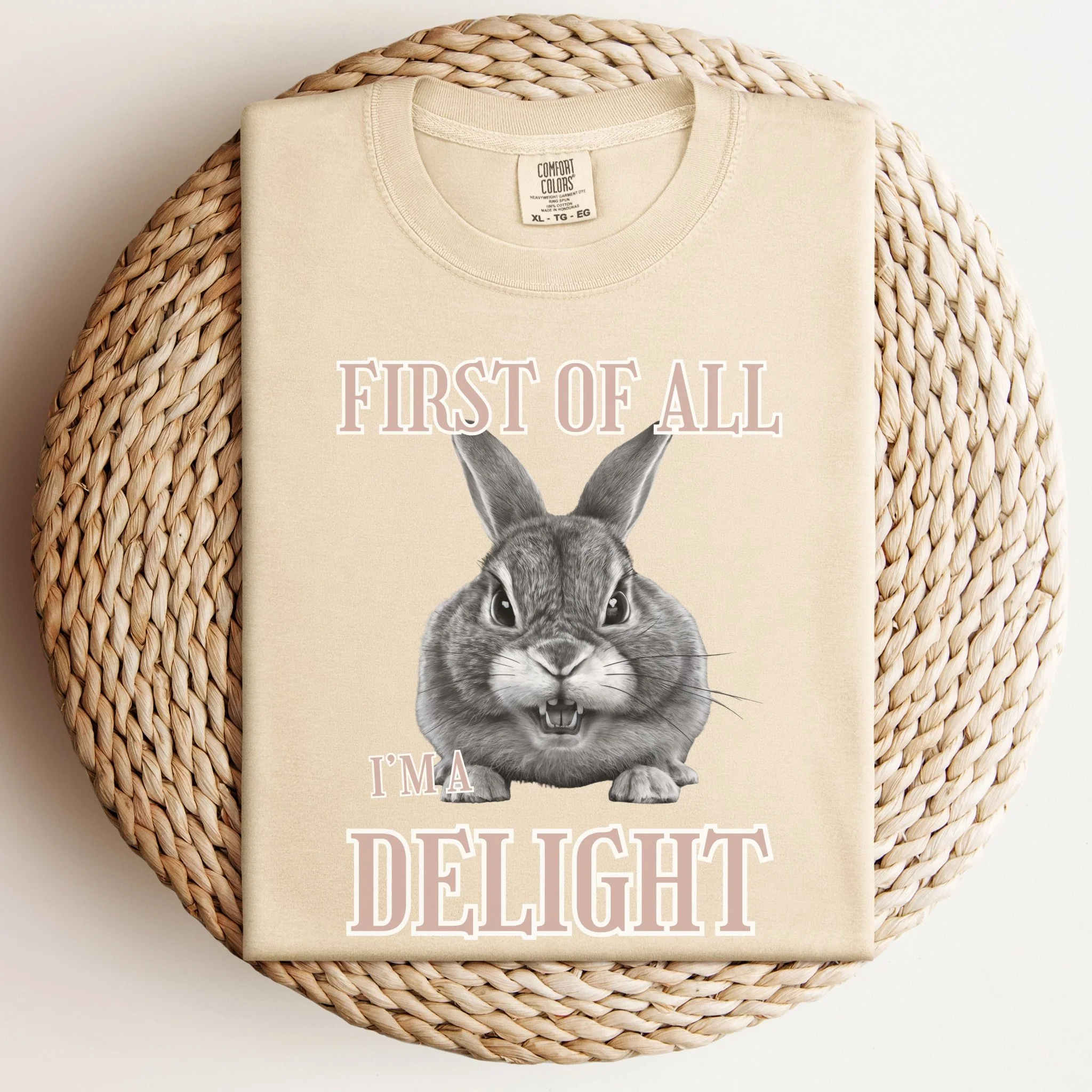 First of All, I'm a Delight Unisex Garment-dyed Heavyweight T-Shirt - Image 2