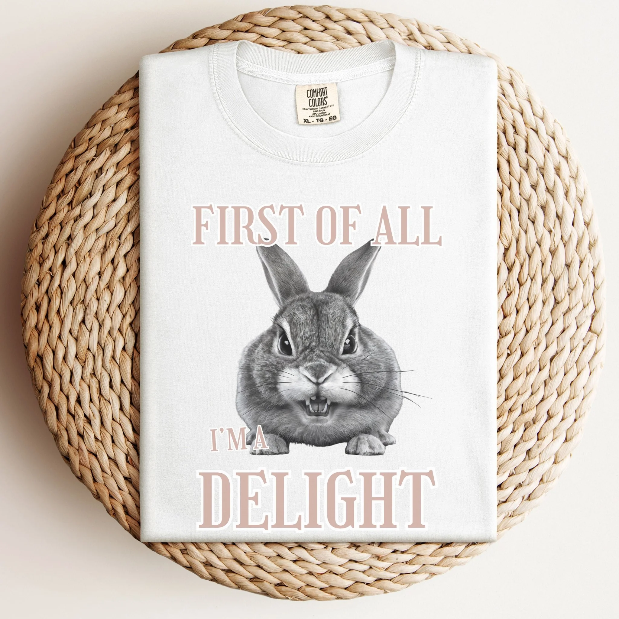 First of All, I'm a Delight Unisex Garment-dyed Heavyweight T-Shirt - Image 4