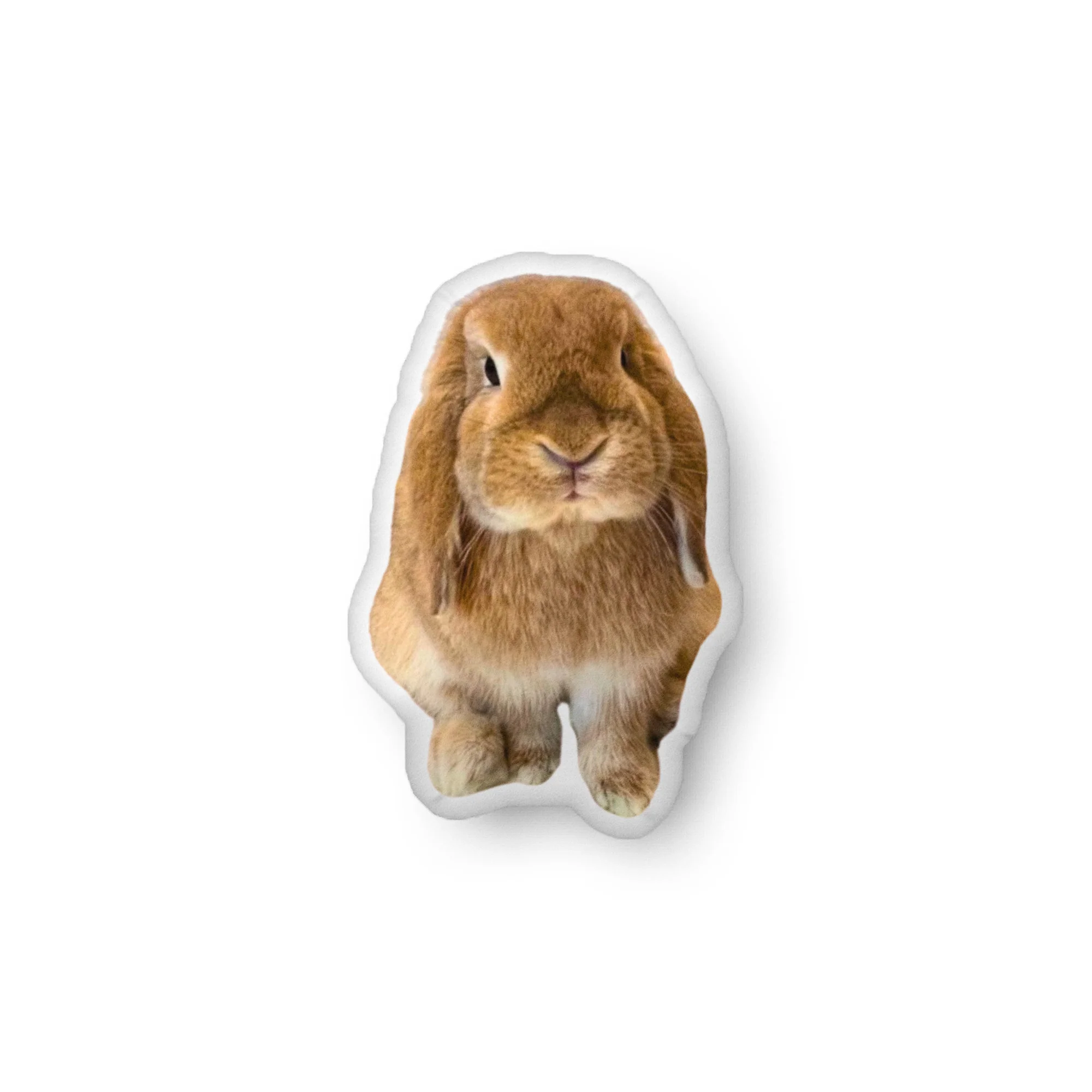 Your Photo Custom-Shaped Pillow - Image 5