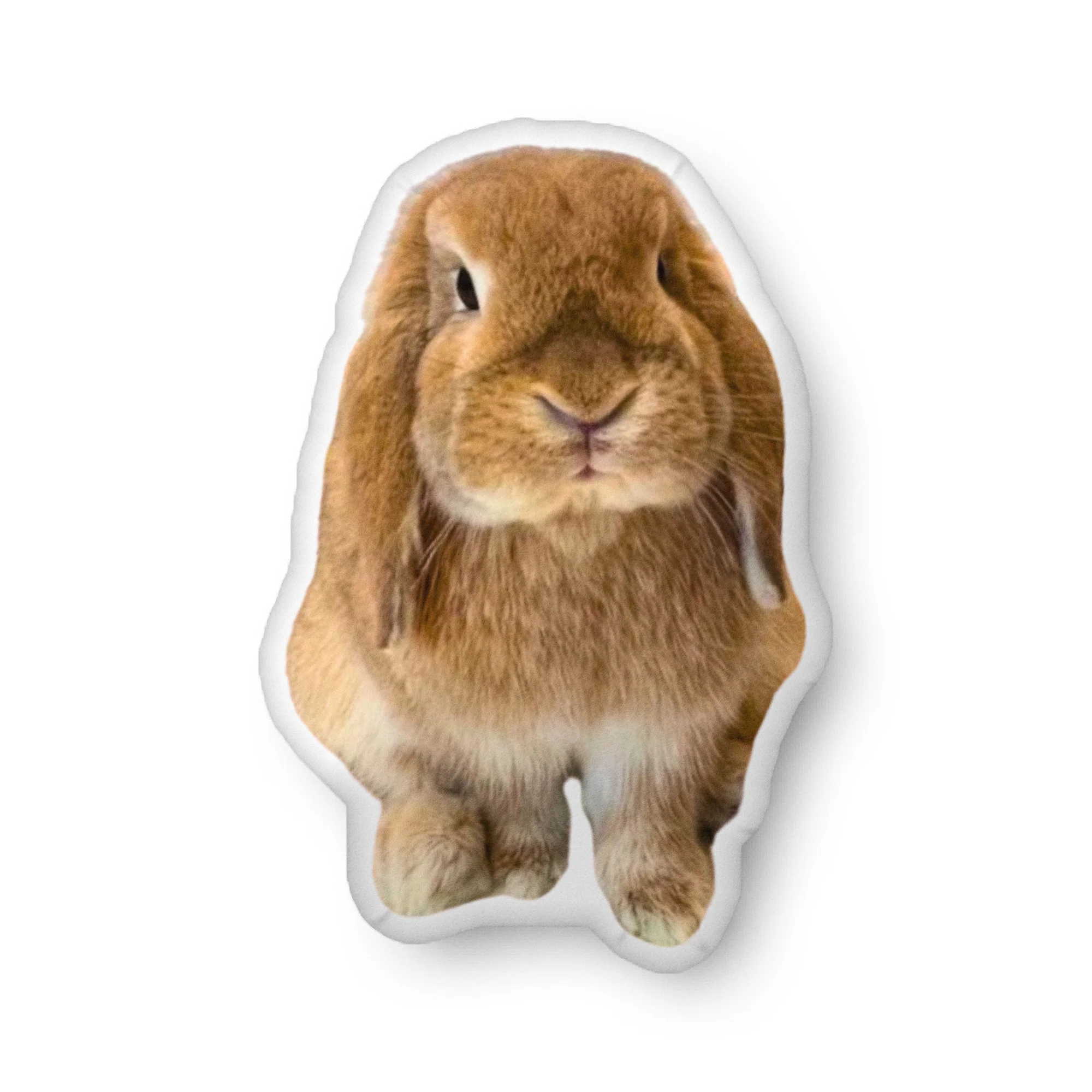 Your Photo Custom-Shaped Pillow - Image 6